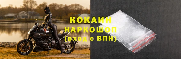 мет Новозыбков