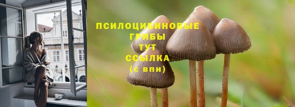 мет Нягань