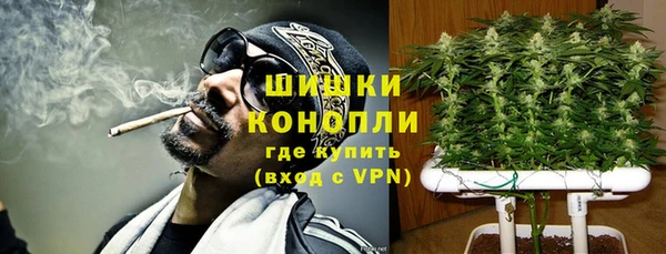 мет Нягань